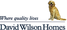 David Wilson Homes